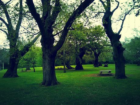 Camino del Norte, etape 11: des montagnes, pas si petites que ça !