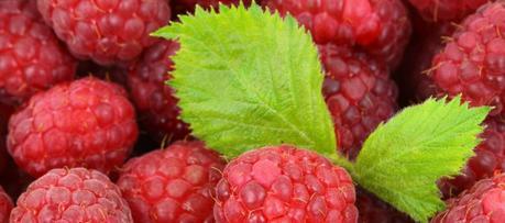 Mousse au tofu et framboise – Recette dessert facile