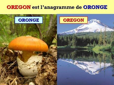 Divers -  Anagramme - 2