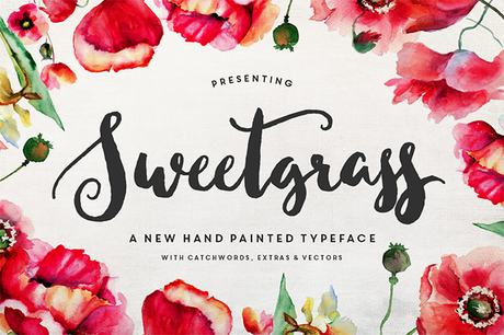 Sweetgrass Typeface & Floral Vectors par MakeMediaCo.