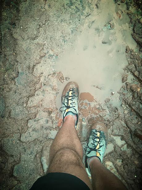 Camino del Norte, étape 12: une journée de transition...