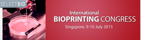 Capture d’écran 2015-04-12 à 10.56.00