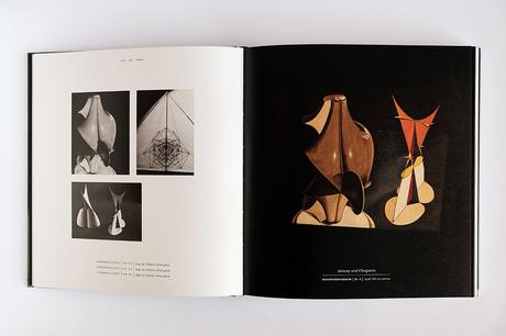 MAN RAY – HUMAN EQUATIONS