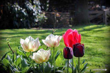 Nettoyage de printemps...