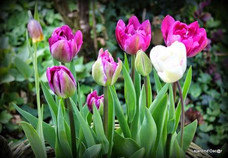 Nettoyage de printemps...