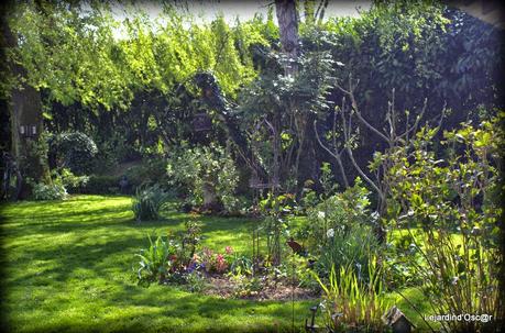 Nettoyage de printemps...