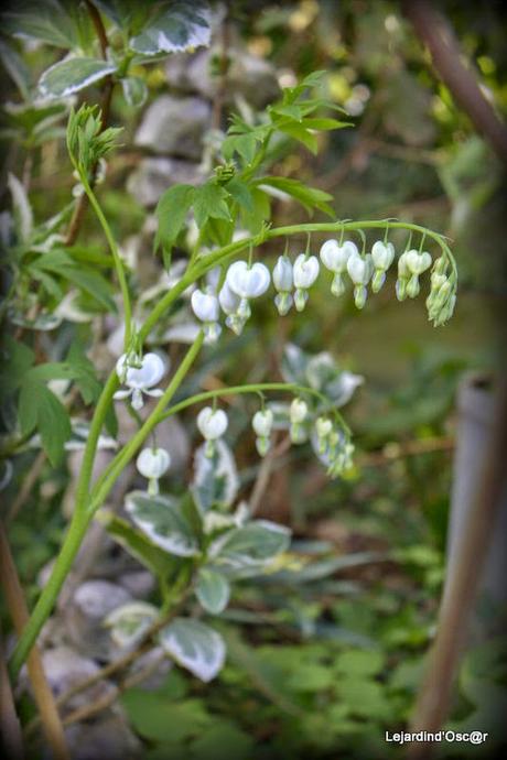 Nettoyage de printemps...