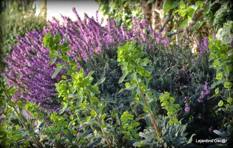 Nettoyage de printemps...