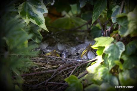 Nettoyage de printemps...