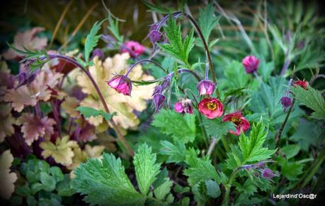 Nettoyage de printemps...