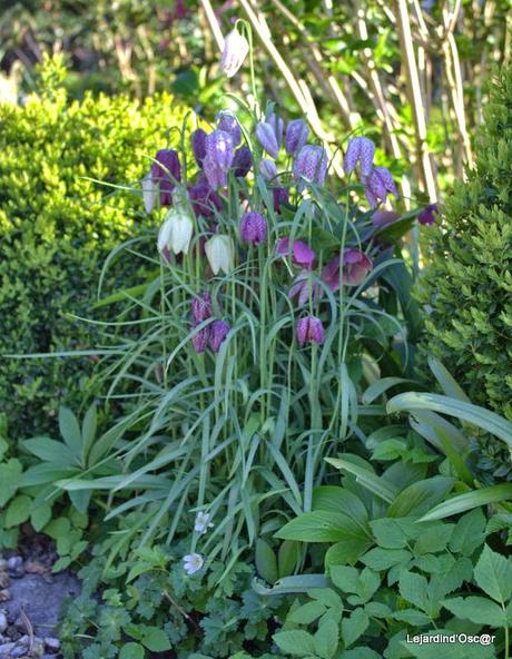 Nettoyage de printemps...