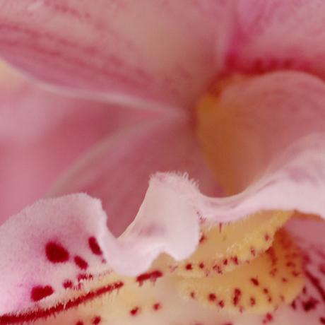 Boulevard Malesherbes