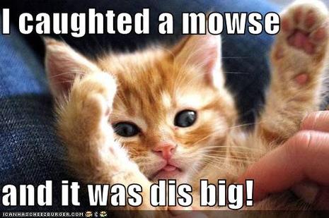 Bilan du dimanche 1 juin