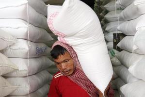 Face à la hausse des prix alimentaires la FAO appelle les pays riches à accroître leur aide
