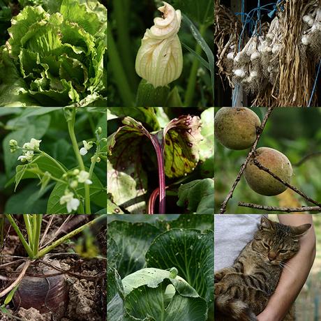 Le bonheur est dans le pré