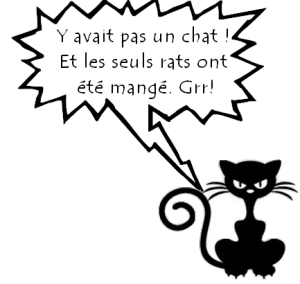 L’Elite – Joelle Charbonneau Sans titre 1