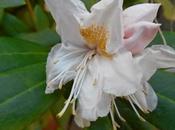 (function(d){ 'facebook-jssdk'; (d.getEle...