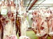 Croissance filière viande rouge 2014 (ministère)
