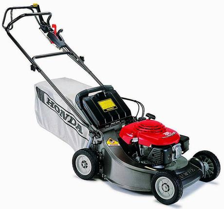 Retour au jardinage !