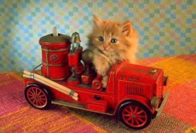 Viens chez moi, j’habite chez un chat mort