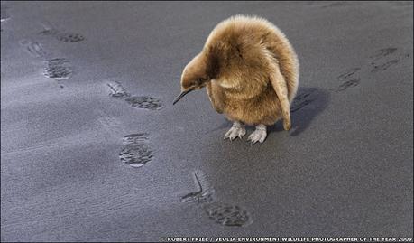 L’école ou la caserne