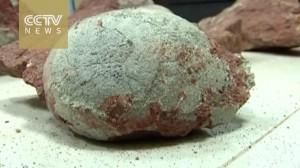 CHINE: 43 œufs de dinosaures découverts sur un chantier de réfection de voirie