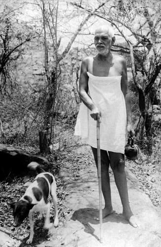 L'éveil selon Ramana