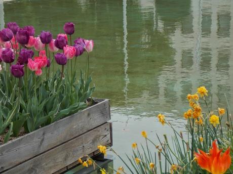 triskell et compagnie