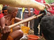 Rocket Festival (Bun Bang Fai) 2015, [HD]