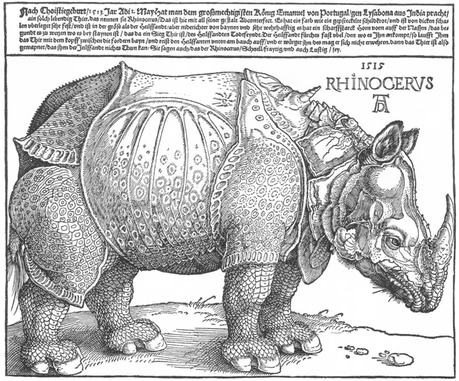 1515 le rhino