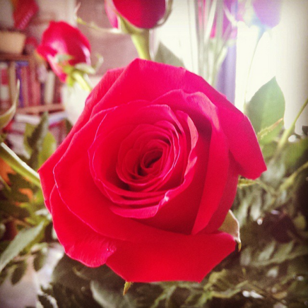 @desperatecouchpotatoe