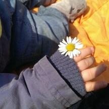 @desperatecouchpotatoe