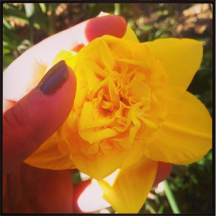 Lundi avec Alice et Zaza : Histoire de bouquet(s)