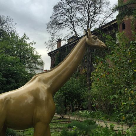 Lotus signe une collaboration avec le Vogue Talent PICCIONE.PICCIONE pour la design week de Milan IMG_1721