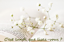 C'est lundi chez la souris