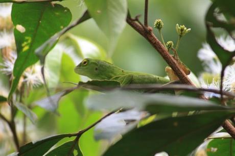 Petites et grosses bébêtes !!