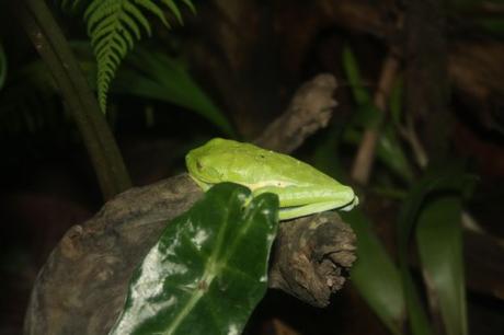 Petites et grosses bébêtes !!