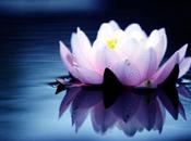 D’où vient l’inspiration