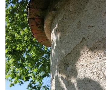 La lumière de la conscience