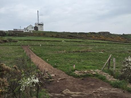 Carte postale de Cancale, pointe du Grouin #Bretagne