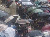 Images rejon seville