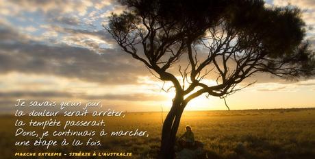 Sur les pas sages de Sarah Marquis