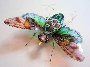 Design : les insectes de  Julie Alice Chappell