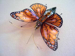 Design : les insectes de  Julie Alice Chappell