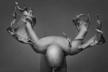 Copyright Yuichi Ikehata