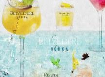 Cocktails Belvedere - Collection Summer - La Chambre Noire 2015