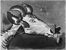 Pablo Picasso - Tête de chêvre (1955)