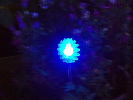 une goutte de pluie sur le visage