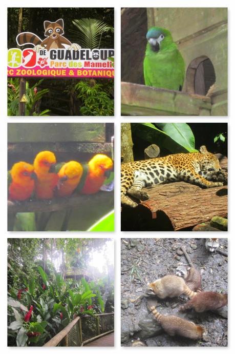 Guadeloupe made in Basse-Terre