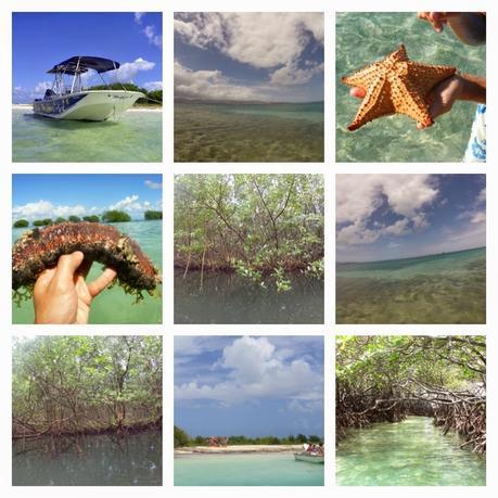 Guadeloupe made in Basse-Terre